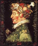 ARCIMBOLDO, Giuseppe Spring fdfggvc oil